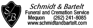 link logo